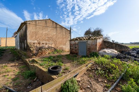Farm hus i L'Aldea, Tarragona, L'Aldea - € 185.000 | Ref: 143 - foto 4