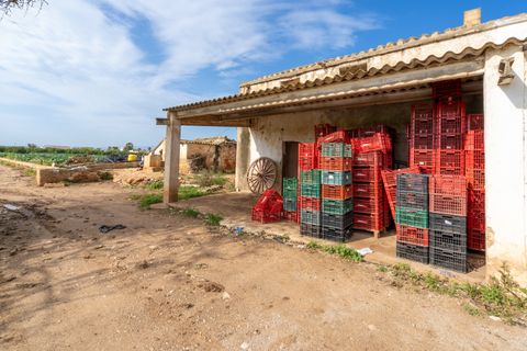 Farm hus i L'Aldea, Tarragona, L'Aldea - € 185.000 | Ref: 143 - foto 14