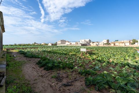 Farm hus i L'Aldea, Tarragona, L'Aldea - € 185.000 | Ref: 143 - foto 19