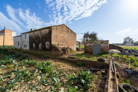 Farm hus i L'Aldea, Tarragona, L'Aldea - € 185.000 | Ref: 143 - foto 3