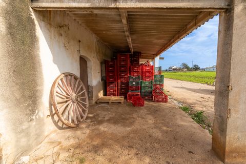 Farm hus i L'Aldea, Tarragona, L'Aldea - € 185.000 | Ref: 143 - foto 17