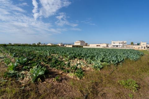 Farm hus i L'Aldea, Tarragona, L'Aldea - € 185.000 | Ref: 143 - foto 20