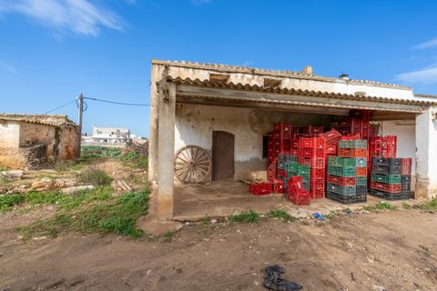 Farm hus i L'Aldea, Tarragona, L'Aldea - € 185.000 | Ref: 143 - foto 16