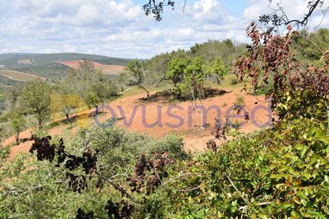 Erhvervsejendom i Paderne, Faro, Paderne - € 500.000 | Ref: LV-07 (PR-065) - foto 13