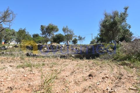 Erhvervsejendom i Paderne, Faro, Paderne - € 500.000 | Ref: LV-07 (PR-065) - foto 15
