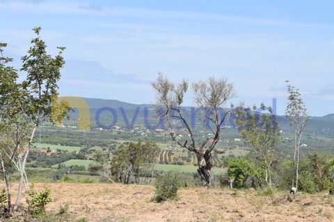 Erhvervsejendom i Paderne, Faro, Paderne - € 500.000 | Ref: LV-07 (PR-065) - foto 23