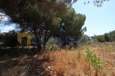 Tomt i Albufeira, Faro, Albufeira - € 750 000 | Ref: LV-2137 (PR-064) - foto 11