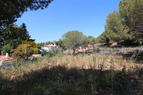 Helårsgrund i Albufeira, Faro, Albufeira - € 1.950.000 | Ref: LV-2135 (PR-064) - foto 6
