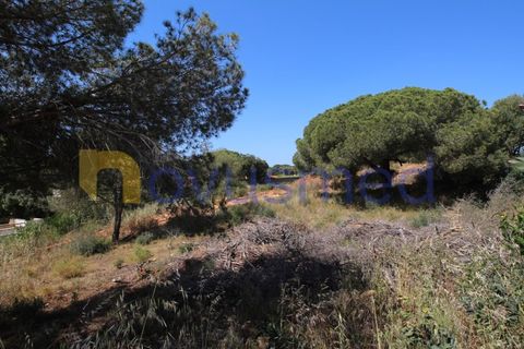 Helårsgrund i Albufeira, Faro, Albufeira - € 1.950.000 | Ref: LV-2135 (PR-064) - foto 7