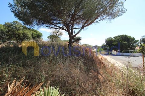 Helårsgrund i Albufeira, Faro, Albufeira - € 1.950.000 | Ref: LV-2135 (PR-064) - foto 12