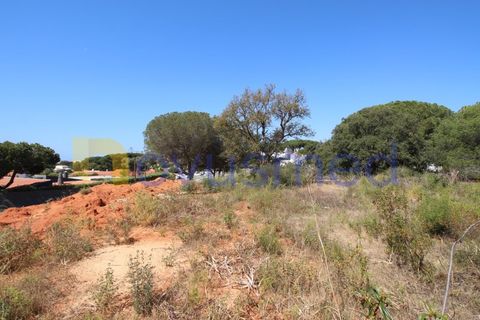 Helårsgrund i Albufeira, Faro, Albufeira - € 1.950.000 | Ref: LV-2135 (PR-064) - foto 13