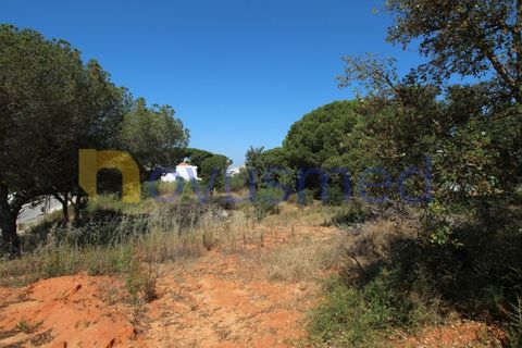Helårsgrund i Albufeira, Faro, Albufeira - € 1.950.000 | Ref: LV-2135 (PR-064) - foto 15
