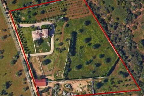 Villa i Paderne, Faro, Paderne - € 2.130.000 | Ref: V5-14 (PR-053) - foto 24