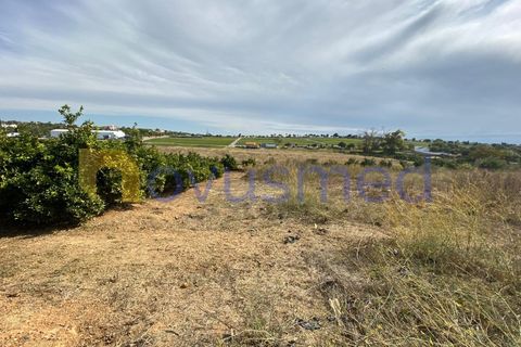 Farm i Quelfes, Faro, Quelfes - € 2.200.000 | Ref: QA-05 (PR-095) - foto 3