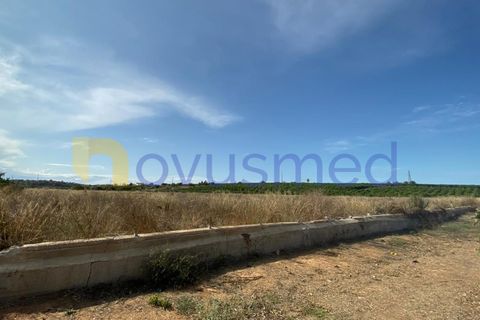 Farm i Quelfes, Faro, Quelfes - € 2.200.000 | Ref: QA-05 (PR-095) - foto 5