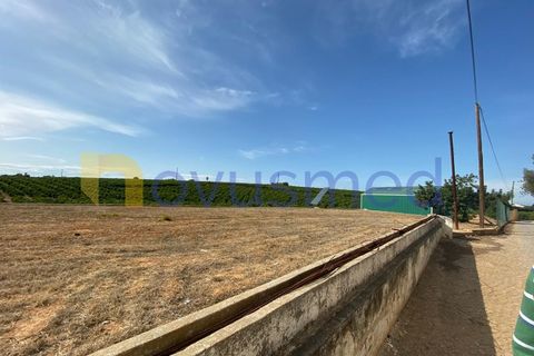 Farm i Quelfes, Faro, Quelfes - € 2.200.000 | Ref: QA-05 (PR-095) - foto 6