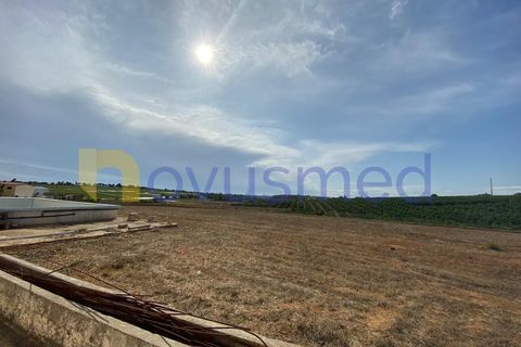 Farm i Quelfes, Faro, Quelfes - € 2.200.000 | Ref: QA-05 (PR-095) - foto 7