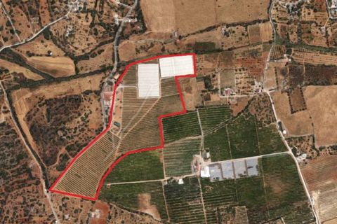 Farm i Quelfes, Faro, Quelfes - € 2.200.000 | Ref: QA-05 (PR-095) - foto 12