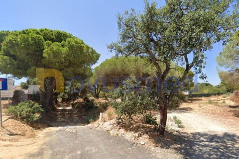 Helårsgrund i Albufeira, Faro, Albufeira - € 460.000 | Ref: LV-2161 (PR-064) - foto 5