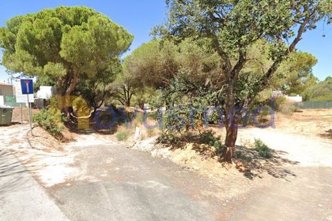 Helårsgrund i Albufeira, Faro, Albufeira - € 460.000 | Ref: LV-2161 (PR-064) - foto 6