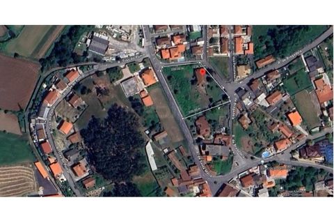 Helårsgrund i Ribeirao, Braga, Ribeirao - € 665.000 | Ref: 3415 - foto 12