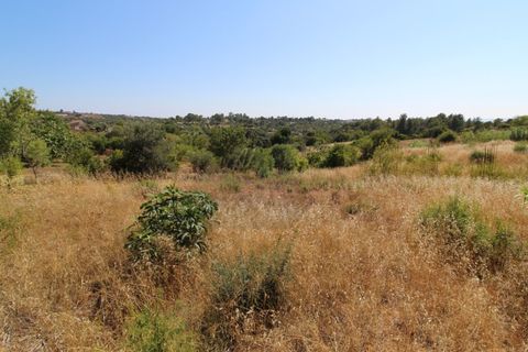 Helårsgrund i Estombar, Faro, Estombar - € 1.450.000 | Ref: PAR_118 - foto 3