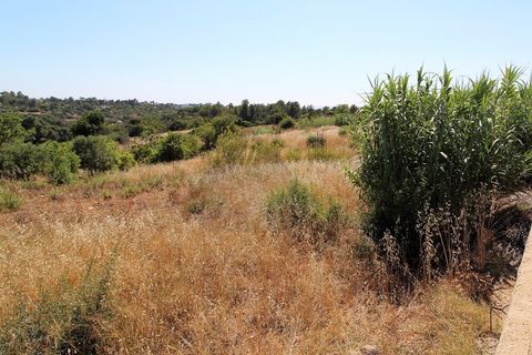 Helårsgrund i Estombar, Faro, Estombar - € 1.450.000 | Ref: PAR_118 - foto 4