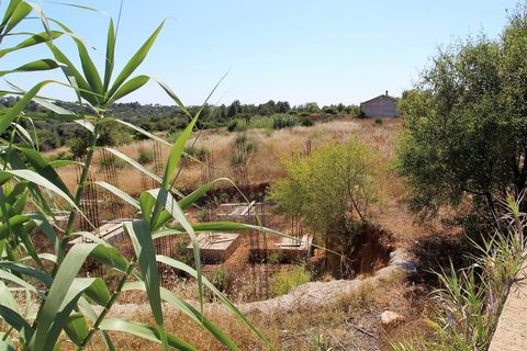 Helårsgrund i Estombar, Faro, Estombar - € 1.450.000 | Ref: PAR_118 - foto 6