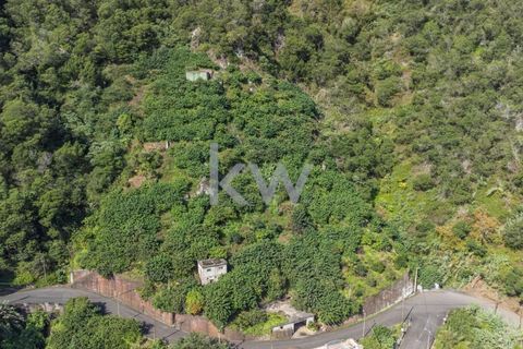 Helårsgrund i Santana, Madeira, Santana - € 120.000 | Ref: KWPT-007928 - foto 1