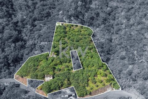 Helårsgrund i Santana, Madeira, Santana - € 120.000 | Ref: KWPT-007928 - foto 2