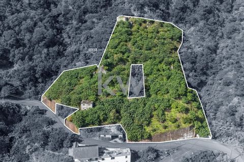 Helårsgrund i Santana, Madeira, Santana - € 120.000 | Ref: KWPT-007928 - foto 4