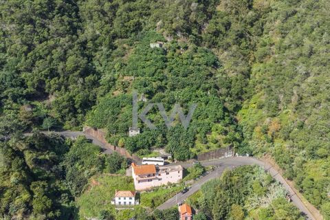 Helårsgrund i Santana, Madeira, Santana - € 120.000 | Ref: KWPT-007928 - foto 5