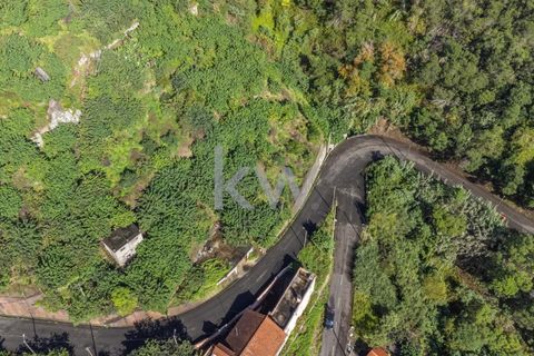 Helårsgrund i Santana, Madeira, Santana - € 120.000 | Ref: KWPT-007928 - foto 6