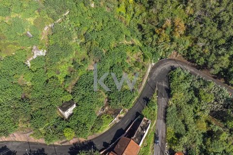Helårsgrund i Santana, Madeira, Santana - € 120.000 | Ref: KWPT-007928 - foto 7