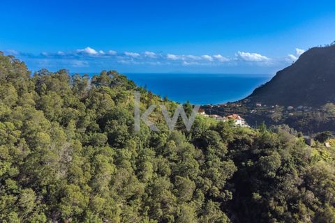 Helårsgrund i Santana, Madeira, Santana - € 120.000 | Ref: KWPT-007928 - foto 8