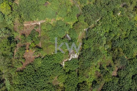 Helårsgrund i Santana, Madeira, Santana - € 120.000 | Ref: KWPT-007928 - foto 10