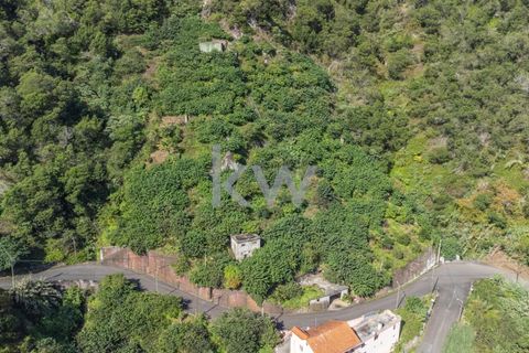 Helårsgrund i Santana, Madeira, Santana - € 120.000 | Ref: KWPT-007928 - foto 11