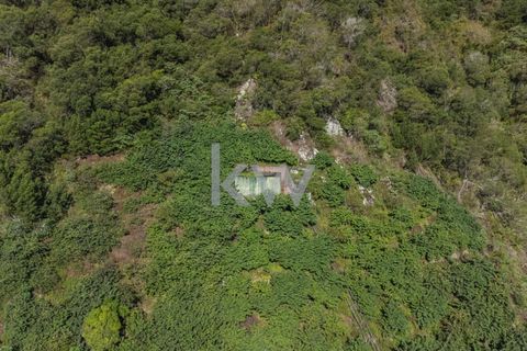 Helårsgrund i Santana, Madeira, Santana - € 120.000 | Ref: KWPT-007928 - foto 12