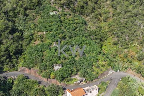 Helårsgrund i Santana, Madeira, Santana - € 120.000 | Ref: KWPT-007928 - foto 13