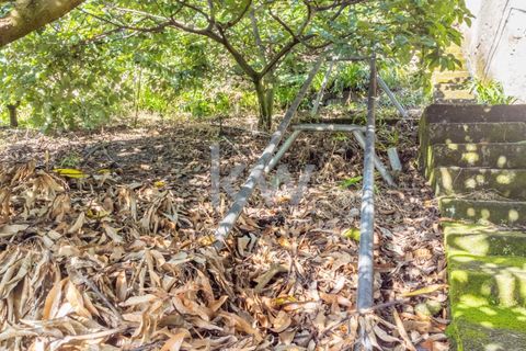 Helårsgrund i Santana, Madeira, Santana - € 120.000 | Ref: KWPT-007928 - foto 14