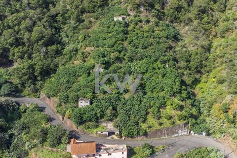 Helårsgrund i Santana, Madeira, Santana - € 120.000 | Ref: KWPT-007928 - foto 16