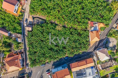 Helårsgrund i Calheta, Madeira, Calheta - € 360.000 | Ref: KWPT-008056 - foto 24