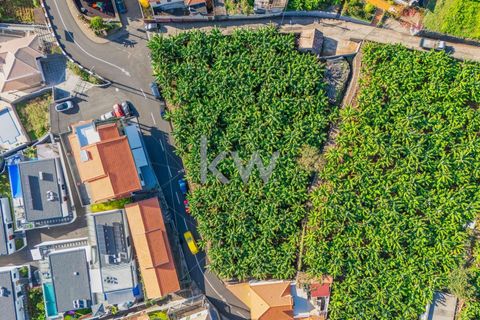 Helårsgrund i Calheta, Madeira, Calheta - € 360.000 | Ref: KWPT-008056 - foto 25