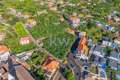 Helårsgrund i Calheta, Madeira, Calheta - € 360.000 | Ref: KWPT-008056 - foto 27