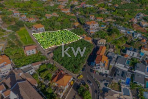 Helårsgrund i Calheta, Madeira, Calheta - € 360.000 | Ref: KWPT-008056 - foto 16