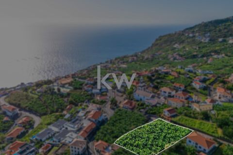 Helårsgrund i Calheta, Madeira, Calheta - € 360.000 | Ref: KWPT-008056 - foto 20