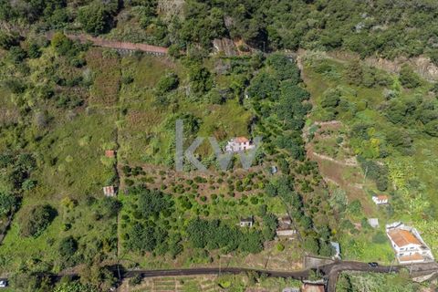 Helårsgrund i Santana, Madeira, Santana - € 120.000 | Ref: KWPT-007894 - foto 1