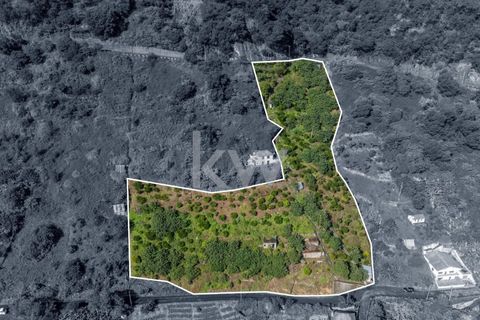 Helårsgrund i Santana, Madeira, Santana - € 120.000 | Ref: KWPT-007894 - foto 2