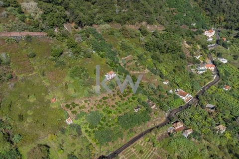 Helårsgrund i Santana, Madeira, Santana - € 120.000 | Ref: KWPT-007894 - foto 3