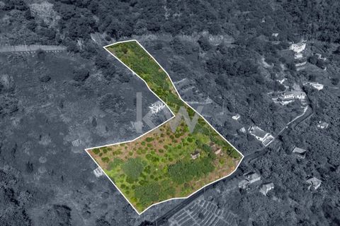 Helårsgrund i Santana, Madeira, Santana - € 120.000 | Ref: KWPT-007894 - foto 4